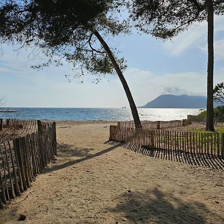 Petit Paradis Classe 3 Etoiles A 200M De La Plage! Terrasse-Wifi-Parking-Clim Saint-Mandrier-sur-Mer Exteriér fotografie