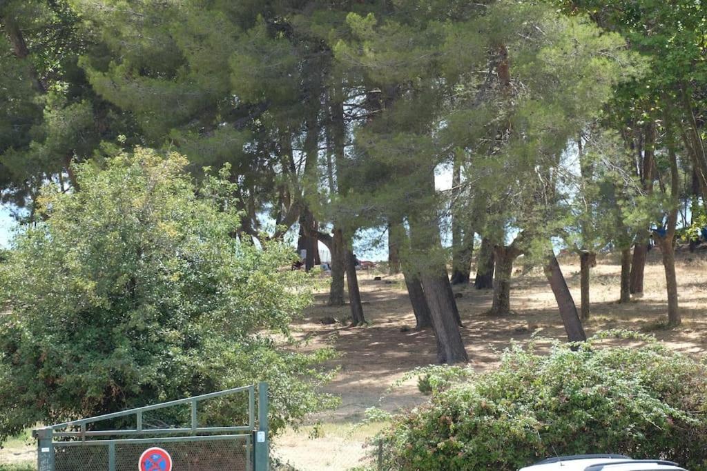 Petit Paradis Classe 3 Etoiles A 200M De La Plage! Terrasse-Wifi-Parking-Clim Saint-Mandrier-sur-Mer Exteriér fotografie