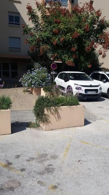 Petit Paradis Classe 3 Etoiles A 200M De La Plage! Terrasse-Wifi-Parking-Clim Saint-Mandrier-sur-Mer Exteriér fotografie